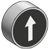 Кнопка плоская с маркировкой, белая, знак "стрелка вверх", 1NO MTB2-BAZ11334 